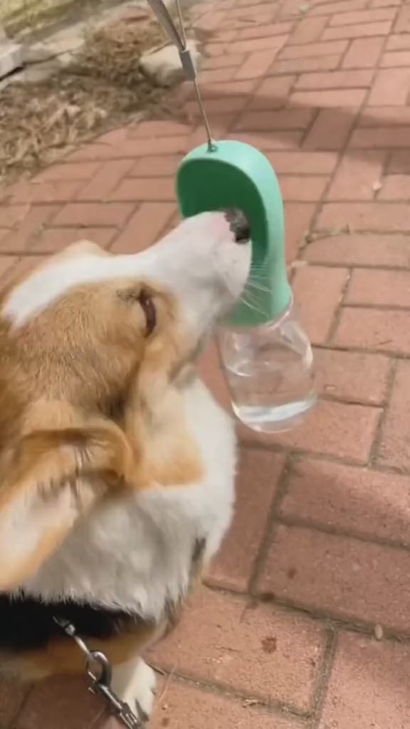 Portable Pet Water Bottle